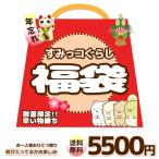 すみっコぐらし 福袋 年忘れ 2020 キャラクターグッズ 送料無料 サンエックス