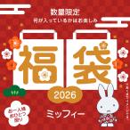 ミッフィー 迎春福袋 2026 キャラクターグッズ おひとり様おひとつ限り