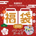 パワーパフガールズ 迎春福袋 2026 キャラクターグッズ おひとり様おひとつ限り