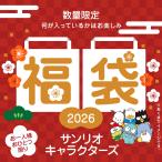 サンリオキャラクターズ 迎春福袋 2026 キャラクターグッズ おひとり様おひとつ限り