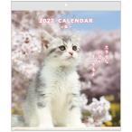 2027 Calendar настенный календарь 2027 год CAT wall календарь ske Jules .. животное фотография вписывание интерьер . мир 9