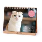 2026Calendar ポッケ 卓上カレンダー2026年 ねこ 卓上 スケジュール 動物写真 書き込み