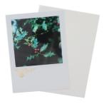 クリスマスカード シアーポストカード 柊の赤い実