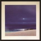 Alex Jawdokinov アレックス・ジョードキモフ 風景画 インテリア Midnight High And Dry II ギフト 装飾  爆買