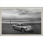 デザイナーズアート B＆W PHOTOGRAPHY Dino 206/246 ディーノ インテリア雑貨 写真 アート 額付き 90×54×5cm 爆買