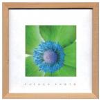 フレンチフォトグラフィー インテリア 写真 アート French Photography Anemone invert 爆買