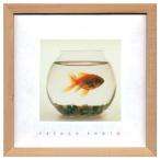 フレンチフォトグラフィー インテリア 写真 アート French Photography Fish in his Bowl 美工社