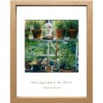 フレンチフォトグラフィー インテリア 写真 アート Photographie de Paris Greenhouse 額付き