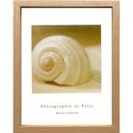 写真 アート フレンチフォトグラフィー Photographie de Paris Shell ZFP-52766 22.5×27.5×2cm 爆買