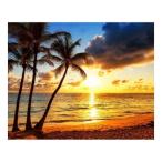 Yahoo! Yahoo!ショッピング(ヤフー ショッピング)キャンバスアート Petit Canvas Art ココナッツパームツリー 500x400mm 美工社 ZPT-62071