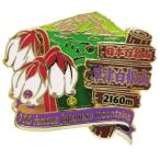  значок Япония 100 название гора 2 уровень булавка z Kusatsu Shirone гора eiko- кейс для коллекции ввод треккинг альпинизм товары подарок мужчина женщина Valentine 