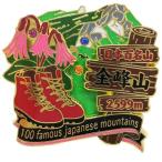 日本百名山 グッズ 2段 ピンズ 登山 ピンバッジ 金峰山 エイコー コレクションケース入り トレッキング プレゼント 男の子 女の子 バレンタイン