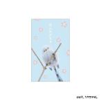 ポチ袋 ぼく、シマエナガ。 ぽち袋小 3枚入り ほんのきもち A お年玉袋