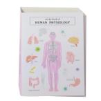  клейкий лист STUDY HOLIC стойка  ключ книжка человек вид биология Green Flash