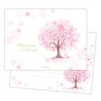  бумага для писем Sakura рисунок письмо накладка 1 рисунок 10 листов ввод память zob springs Япония отверстие Mark 