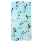 3ポケット 不織布マスク携帯ケース ミッキー＆ミニー 抗菌 マスクケース ディズニー プレゼント 男の子 女の子 ギフト バレンタイン