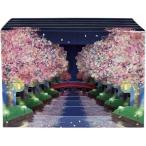 グリーティングカード 春 立体カー�