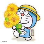  Doraemon DRsiyochiyuuJSP 31-4da ikatto карта поздравительная открытка summer hi вокруг глициния .F не 2 самец сообщение карта . покупка 