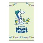  Snoopy герой .. пакет постоянный pochi пакет 3 шт. комплект Beagle ska uto Peanuts 