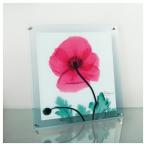 フラワー アート ガラスアート X RAY ユーパワー ポピーマルサーラ Mサイズ 雑貨 30×30cm お洒落 フォト インテリア 爆買