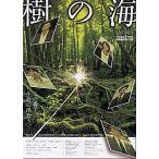 ショッピング井川遥 『樹の海』日本劇場ポスター・B2/萩原聖人、井川遥