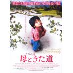 『さくらんぼ 母ときた道』日本劇場ポスター・B2/チャン・ジャーペイ監督
