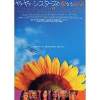 [ya.ya.*si Star z. . становится секрет ] Япония версия театр оригинал постер * большой размер / Sandra * блок,e Len * балка стойка n