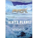 [ белый * planet ] Япония версия театр оригинал постер * большой размер 