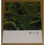 『樹の海』プレスシート・Ａ４/萩原聖人、井川遥、池内博之