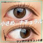 ���F���a13.0mm�ȉ� ������ �i�`������ �J���R�� �����f�[ 6�I �I�X�X�� �l�C 1day ���R ���ᕗ �o���Ȃ� �w�Z �t�`���� ���� �u���b�N �u���E�� �� ���R��