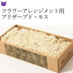 プリザーブド フラワー アレンジメント プリザ 花材 モス 苔 白 ホワイト 450g 手作り グラウンドカバー 安い