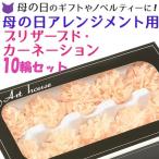 カーネーション 母の日 花 プリザーブド フラワー 切り花 花材 オレンジ イエロー 10輪 セット 花束 ギフト 一輪挿し 手作り