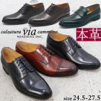 即納マドラス社製viacammin...