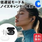ワイヤレス イヤホン Bluetooth 5.4 ノイズキャンセリング ブルートゥース ラジオ 通話 タイプC 両耳 カナル型 タッチ操作 全2色 Haylou Mori Pro