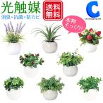 光触媒 観葉植物 卓上 ミニサイズ プチ フェイクグリーン おしゃれ インテリア ラウンドポット 全8種