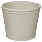 IKEA Ikea горшок покрытие светло-серый бежевый 9cm m70591725 KORSBARSBJORKkorus bell shubyoruk