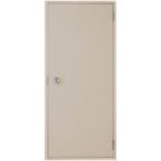  long цвет flash дверь Flat Ran ma нет внутри есть type 0618 W:600mm × H:1,841mm LIXIL Lixil TOSTEMto вынос руля 