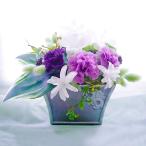 大正ロマンプリザーブドフラワー送料...