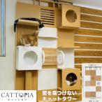 ( производитель прямая поставка ) CATTOPIA 3 объединенный A-134 строительные работы не необходимо башня для кошки кошка walk кошка Cafe .. обивка тип из дерева модный 