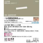 パナソニック 建築化照明器具 LED（電球色） LGB50262LE1 (LGB50262 LE1)
