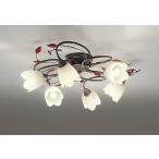 オーデリックシャンデリア〜6畳6灯...