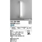 オーデリック ポーチライト LED（昼白色） OG254099