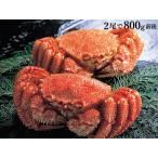 &lt; Boyle рефрижератор &gt; Hokkaido производство шерсть ..2 хвост .800g передний и задний (до и после) Hokkaido корень . обработка подарок по случаю конца года подарок (. . соответствует возможно ) морепродукты специальный продукт 