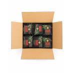  карниз упаковка house Blend cup on кофе экономичный 100 кубок минут комплект карниз on 