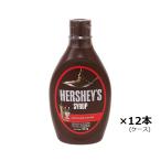 チョコレートソース HE