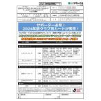 【予約】 EPOCH 2024 ジュビロ磐田 Jリーグチームエディション・メモラビリア 1ボックス 【8月25日発売予定】