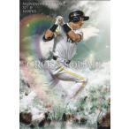 BBM 2017 2nd 川崎宗則 CS