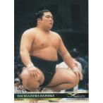 BBM 2018 INFINITY 栃東大裕 049 レギュラー