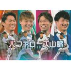 BBM 2023 オリックス・バファロー