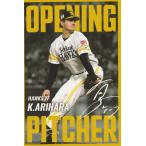 カルビー 2025プロ野球チップス第2弾